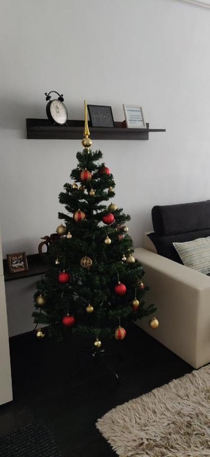 Avangarden Apartment Brasov Ngoại thất bức ảnh