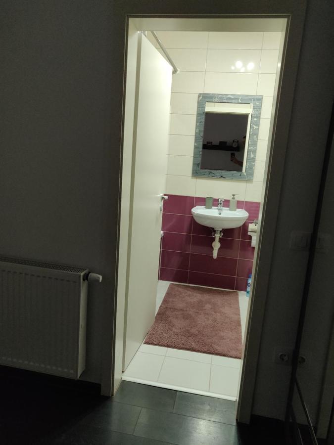 Avangarden Apartment Brasov Ngoại thất bức ảnh